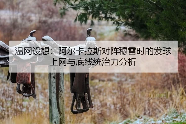 wen-wang-she-xiang-a-er-ka-la-si-dui-zhen-mu-lei-shi-de-fa-qiu-shang-wang-yu-di-xian-tong-zhi-li-fen-xi-1-162.jpg